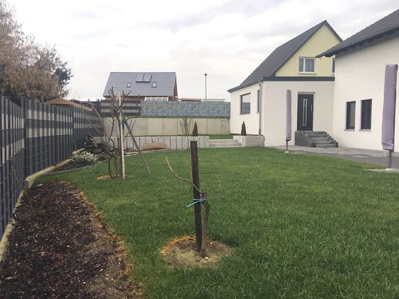 Garten mit grünem Rasen, linkem Zaun, jungen Bäumen mit Stützen und modernem Haus rechts.