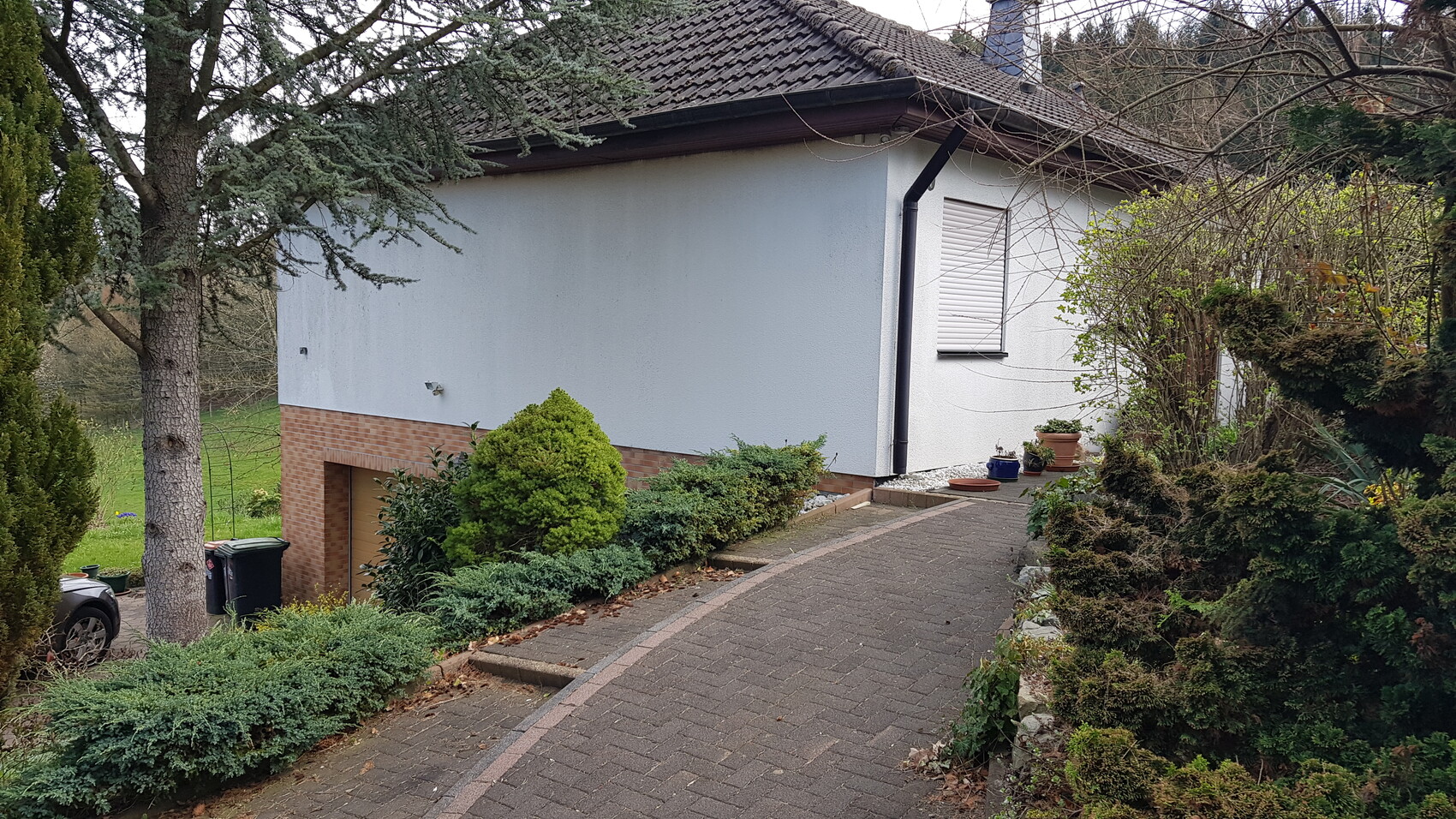 Weiße Hausseite mit gepflastertem Weg, Sträuchern und großem Baum links; Kellerzugang