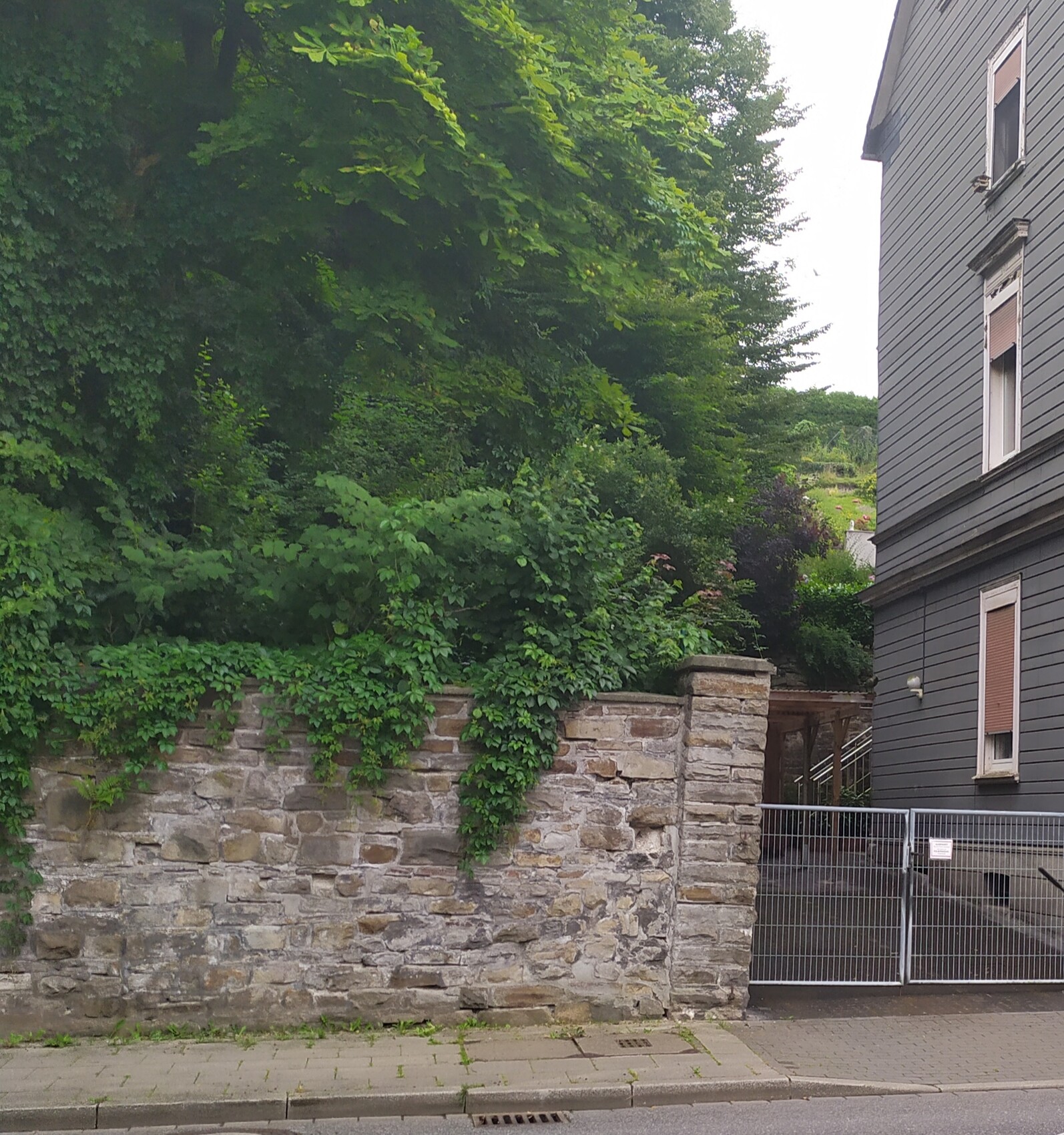 Grüne Vegetation bedeckt eine alte Steinmauer; rechts steht ein graues Haus mit Metalltor.