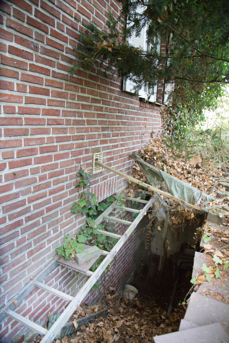 Außenansicht roter Backsteinwand mit Fenster, Kletterpflanzen und Kellerabgang