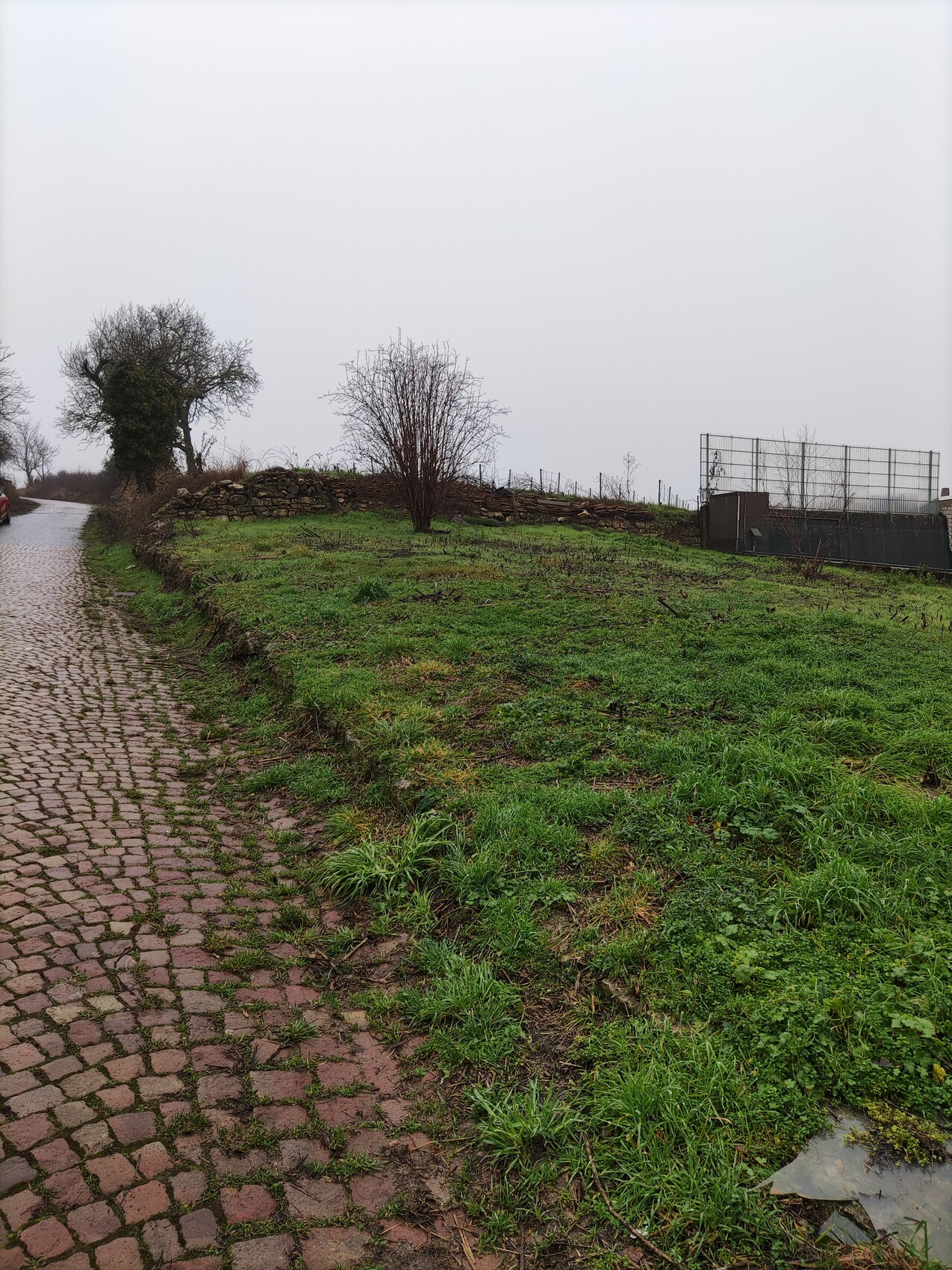 Links ein gepflasterter Weg, grüne Böschung mit Steinmauer, kahle Bäume, rechter Metallzaun.