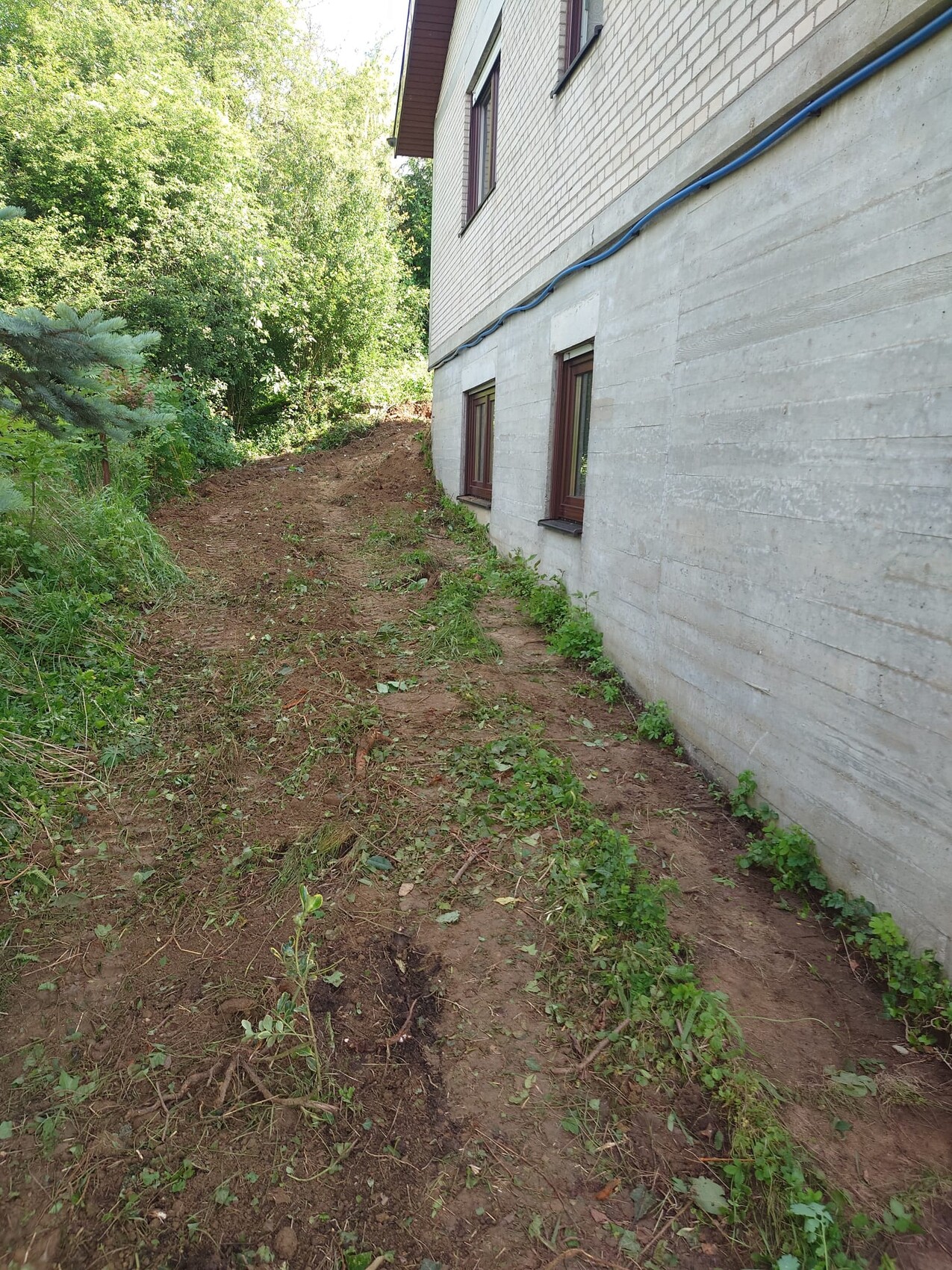 Außenseite eines Hauses mit Erdweg am Fundament, umliegender Garten und Bäume.