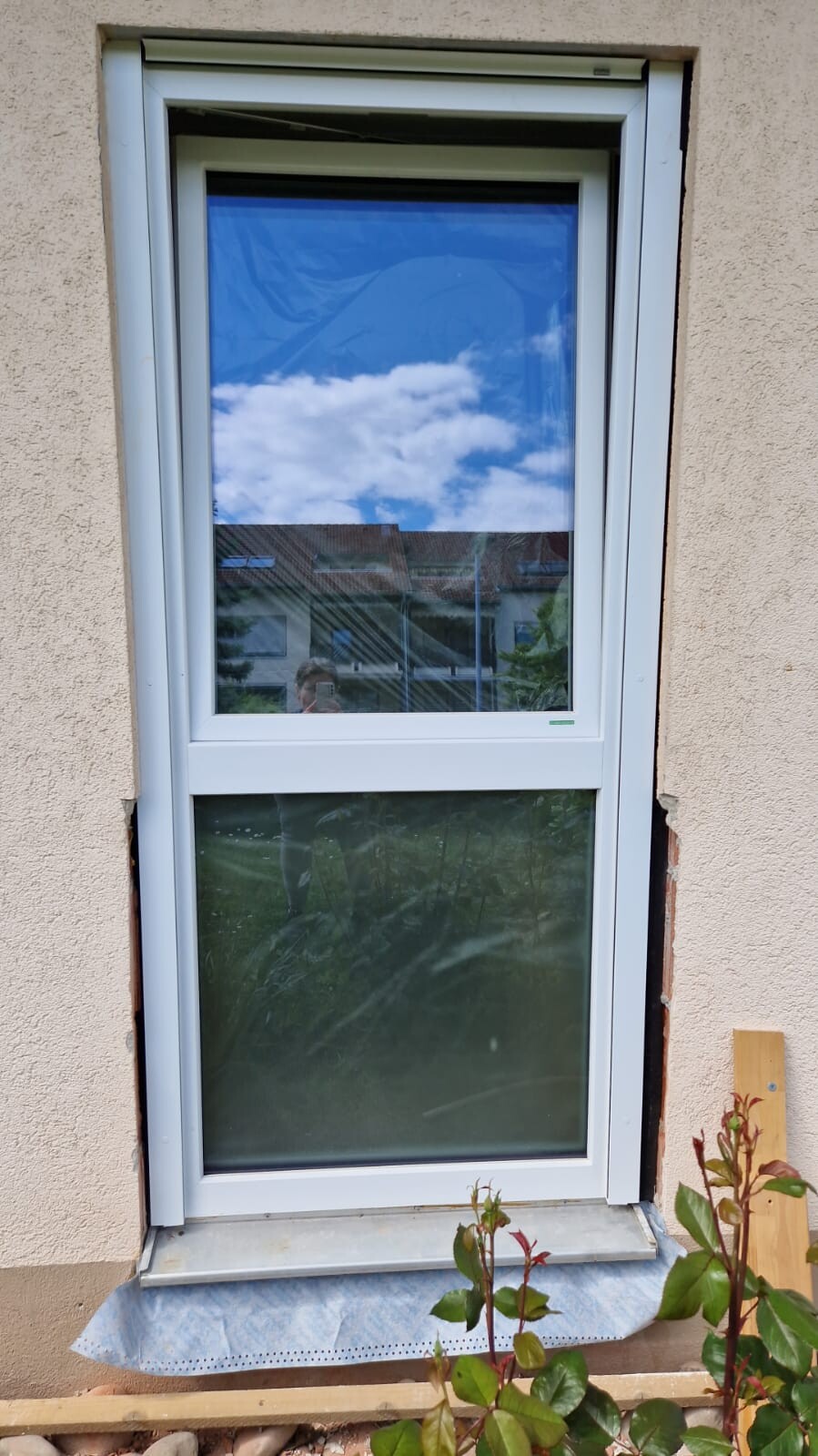 Außenfenster mit weißem Rahmen vor verputzter Wand; Glas reflektiert Himmel und Garten.