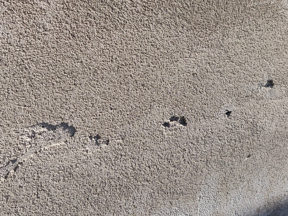 aussenputz-wurde-der-mangelhaft-gemacht-282294-2.jpg