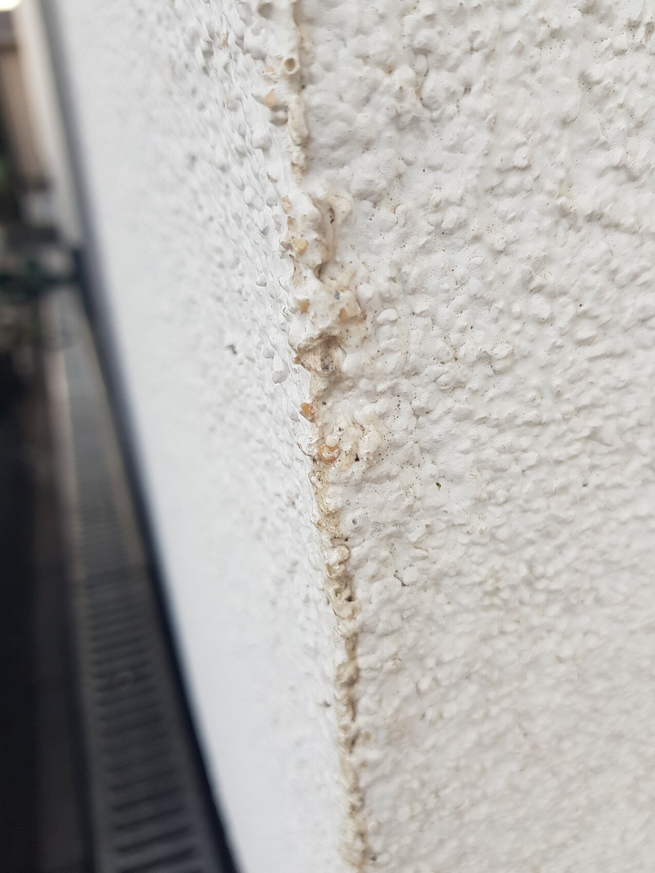 Nahaufnahme einer weiß gestrichenen Außenwand mit vertikalem Riss und Verfärbungen