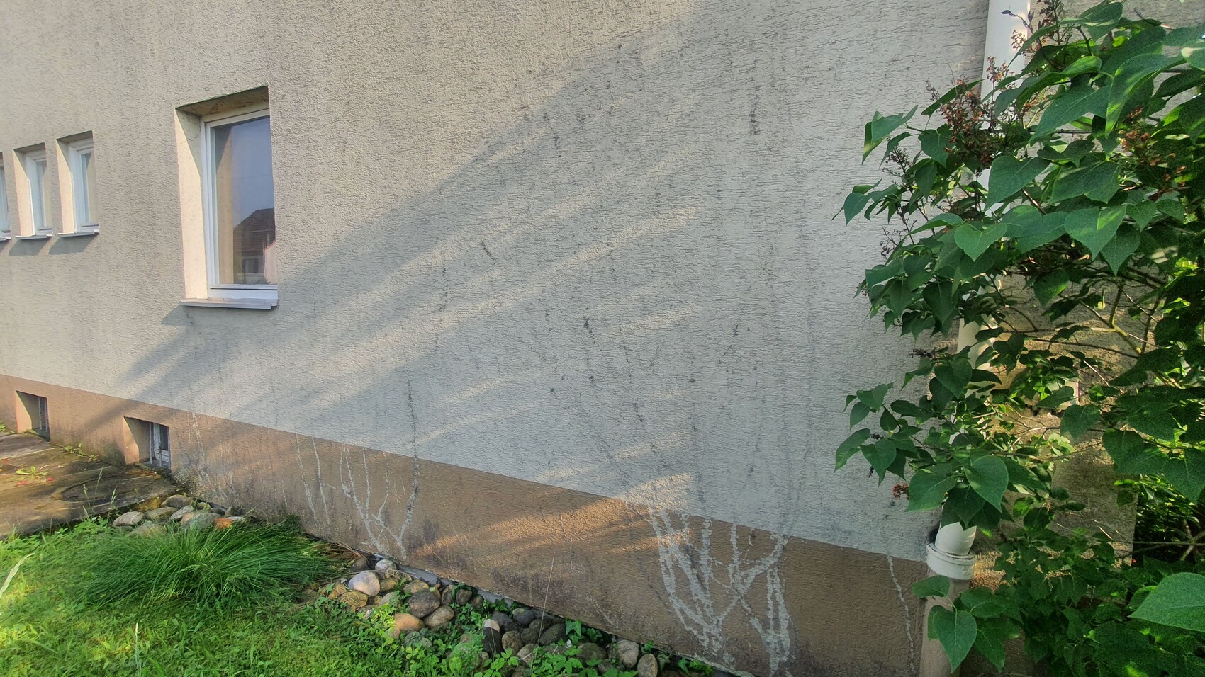 Außenwand eines Hauses: graue Fassade, brauner Sockel, Fenster links, grüne Pflanze rechts.