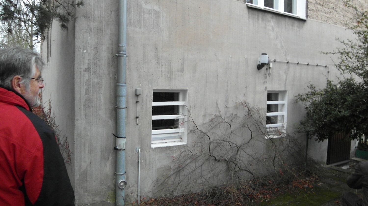 Graue Gebäudeaußenwand mit zwei Fenstern, Fallrohr und rankenden Pflanzen; Mann in roter Jacke links.