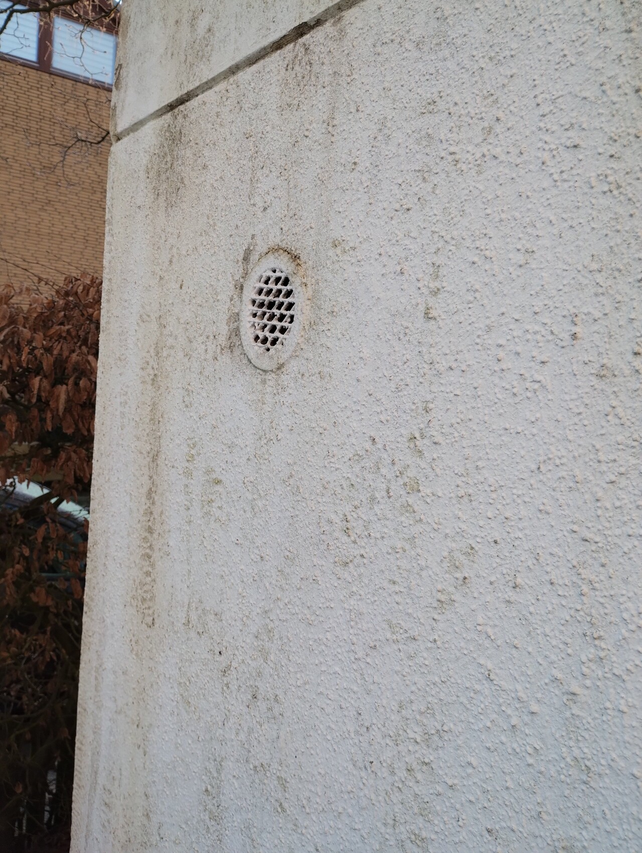 Rundes Lüftungsgitter in einer rauen hellgrauen Außenwand; links unscharfe Pflanzenteile.