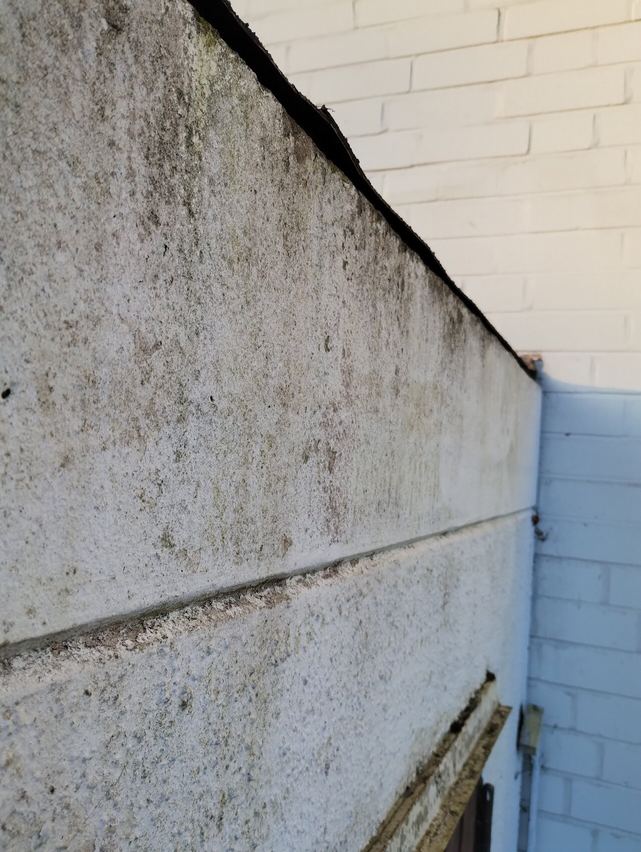 Moosige, graue Betonwand mit Verwitterung in einer Ecke neben einer hellblauen Wand.