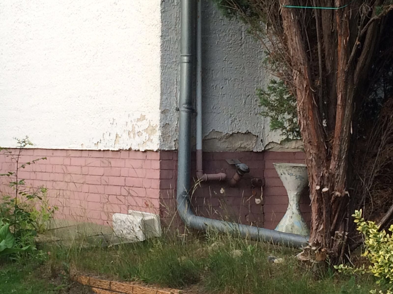 Außenwand eines Gebäudes mit Abflussrohren, beschädigtem Putz und Baum daneben.