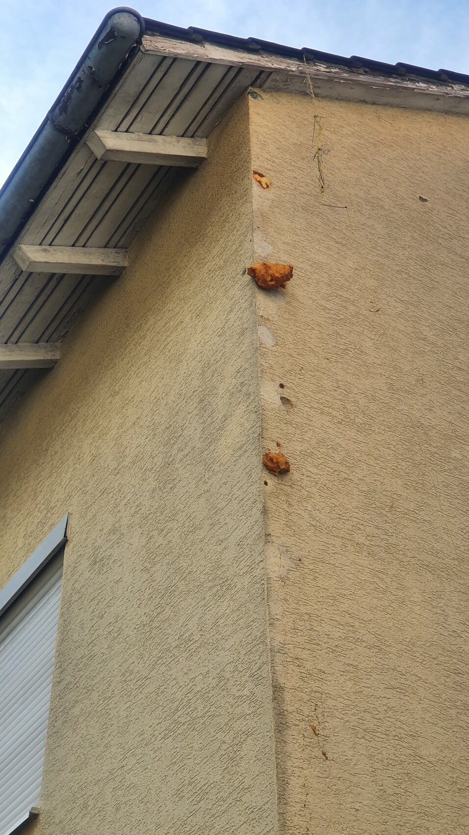 Eckansicht einer beige verputzten Fassade; drei orange Klumpen an der Ecke unter dem Dach.