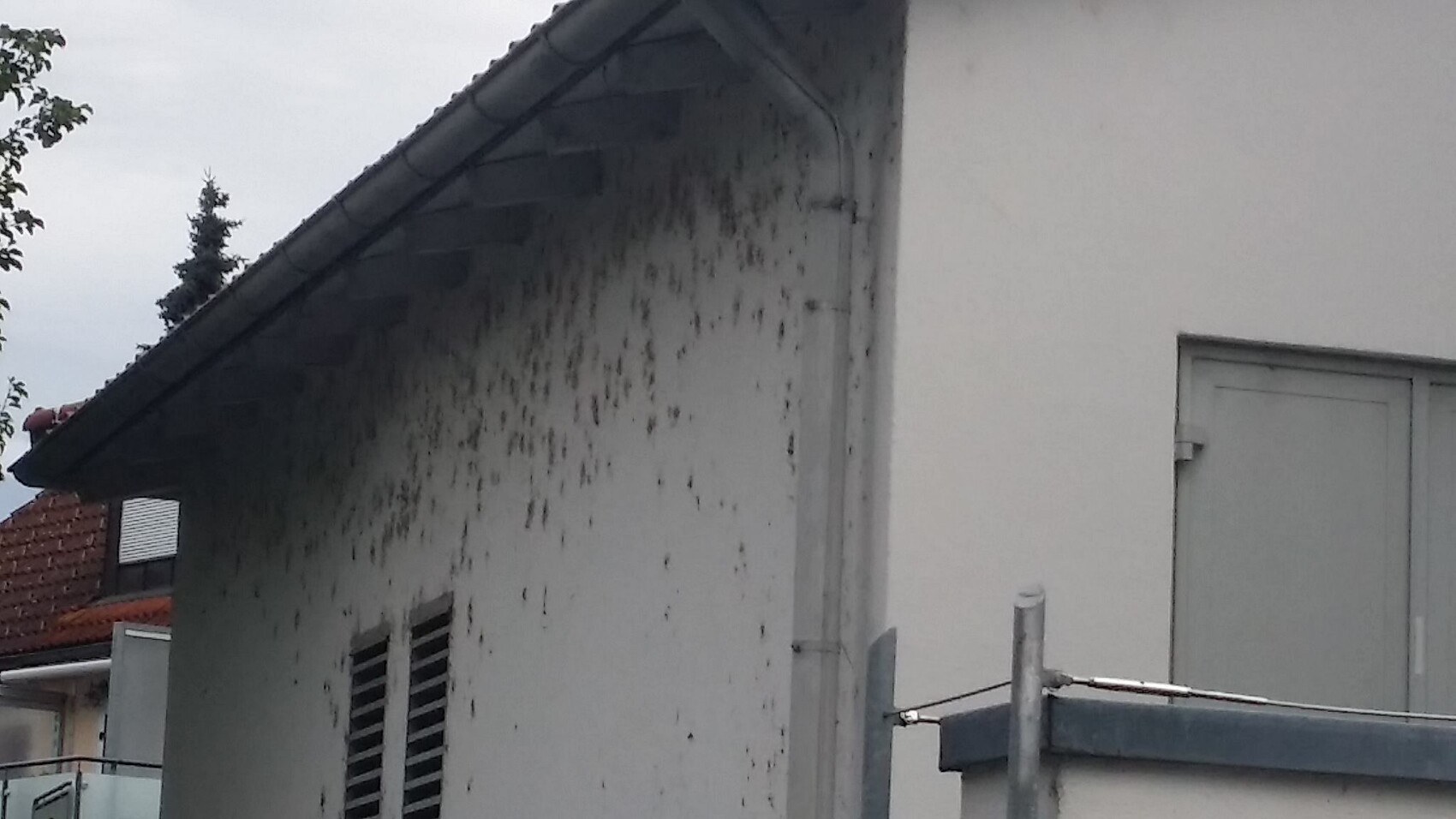 Außenwand eines Hauses mit Schimmelbefall und Feuchtigkeit
