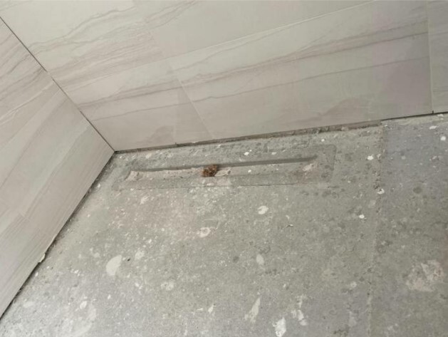 Eckbereich zweier Wandfliesen, flache rechteckige Abflussrinne im Boden, kleiner Schmutz.