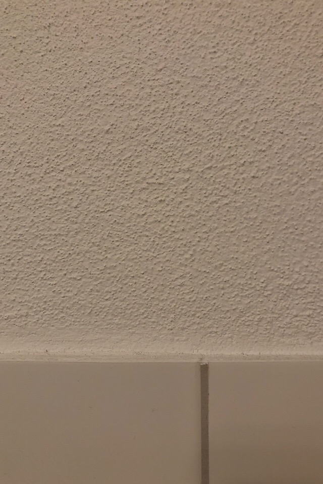 bad-reicht-farbe-auf-mauer-oder-braucht-man-verputz-240317-1.jpeg