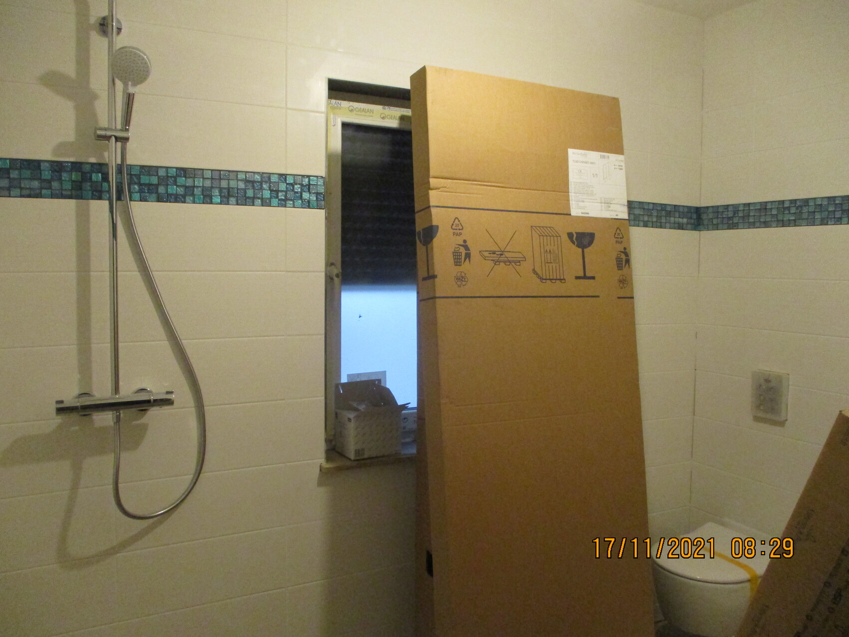Großer Umzugskarton im Badezimmer neben Dusche und Toilette.