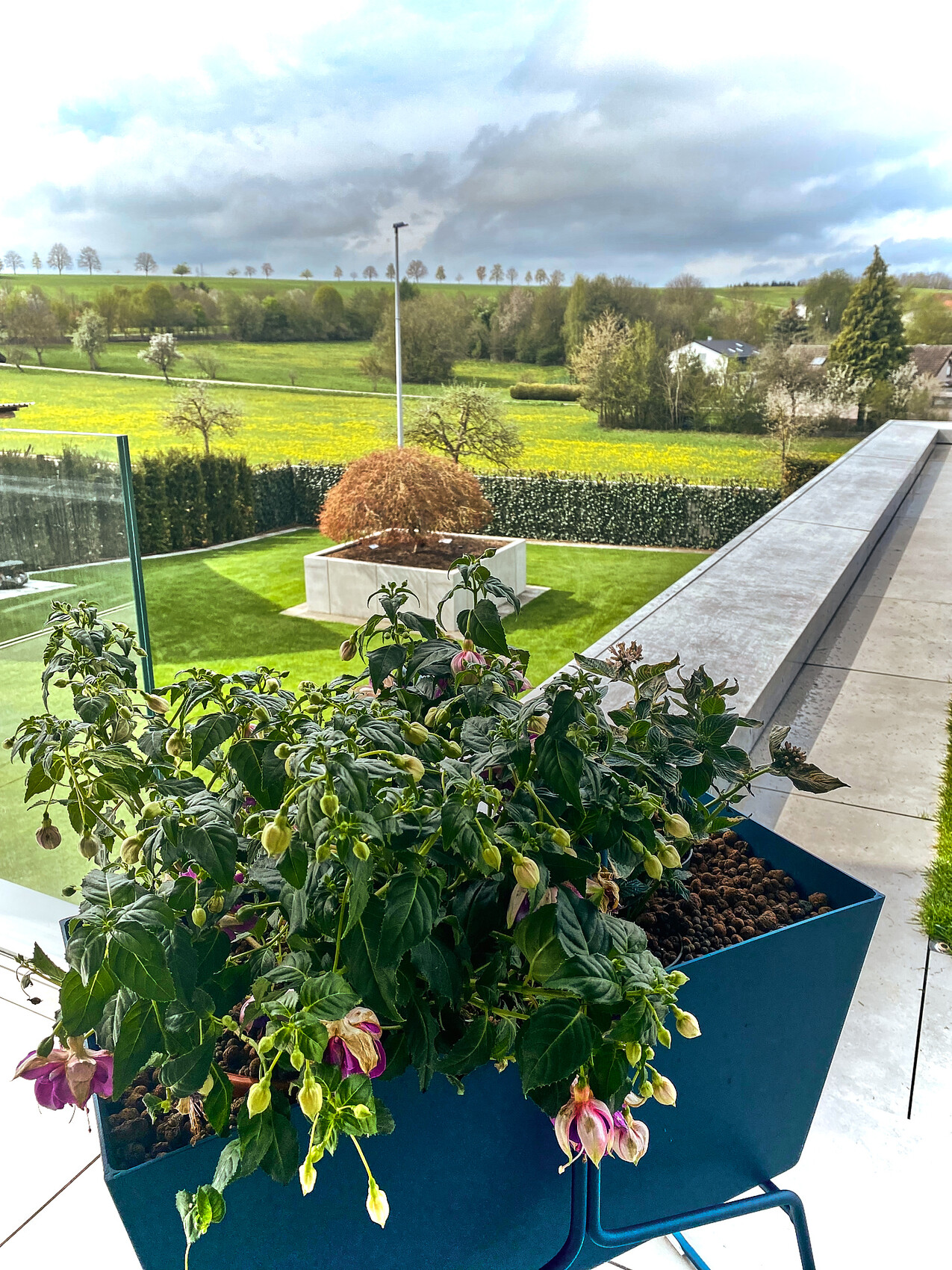 Blaue Balkonbox mit Fuchsienblüten auf Terrasse, Blick auf grünen Rasen, Gartenfläche und Felder.