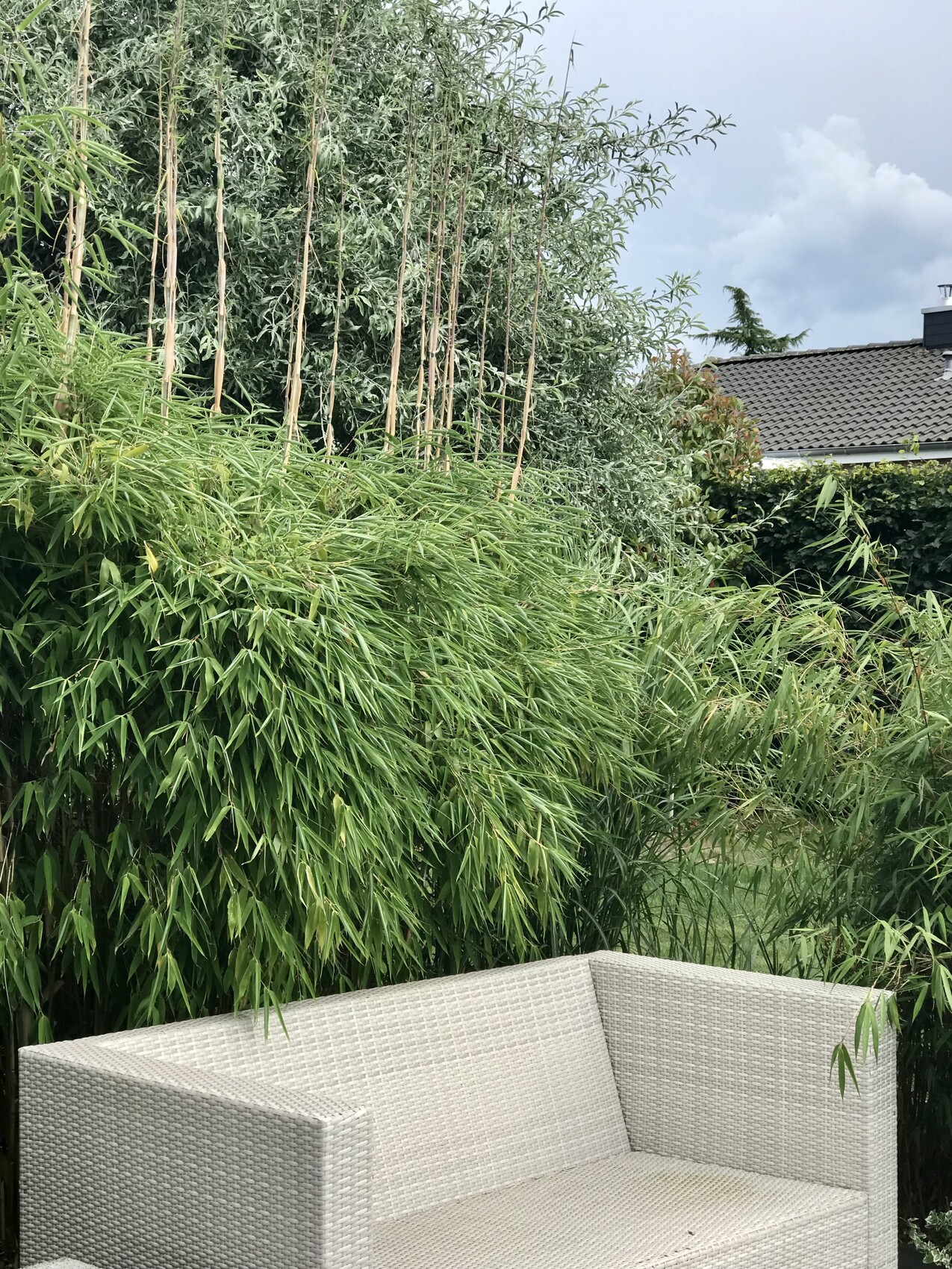 Gartenlounge aus hellbeigem Rattan-Korbmöbel vor dichtem Bambus im Garten.