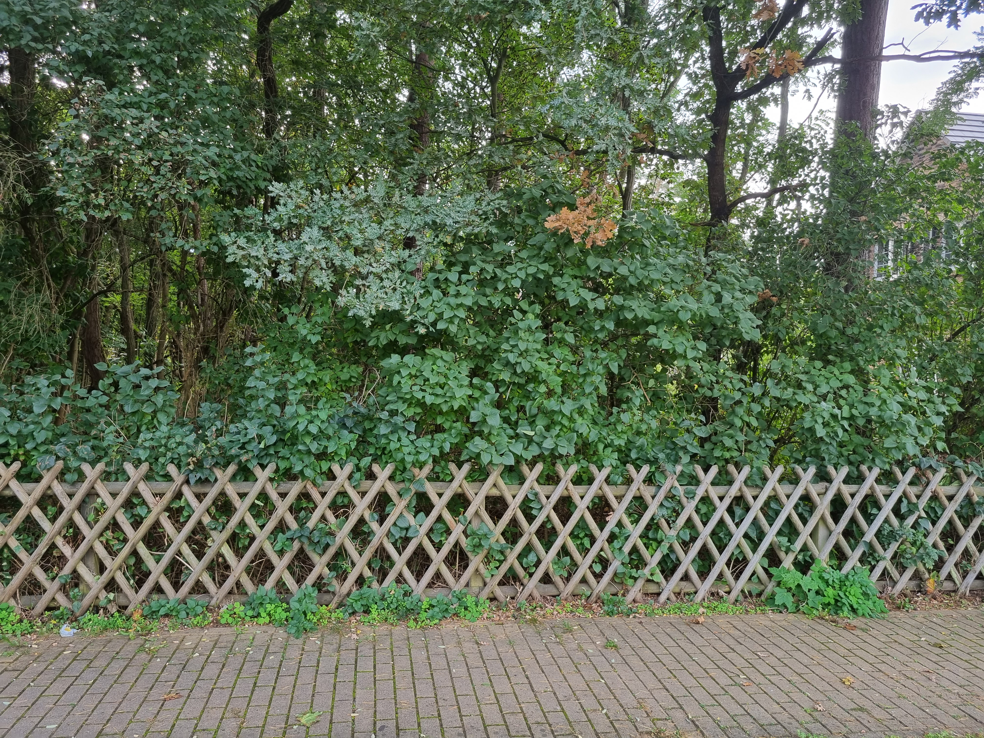 bau-eines-144-qm-bungalows-in-fichtenwalde-naehe-potsdam-531788-2.jpg