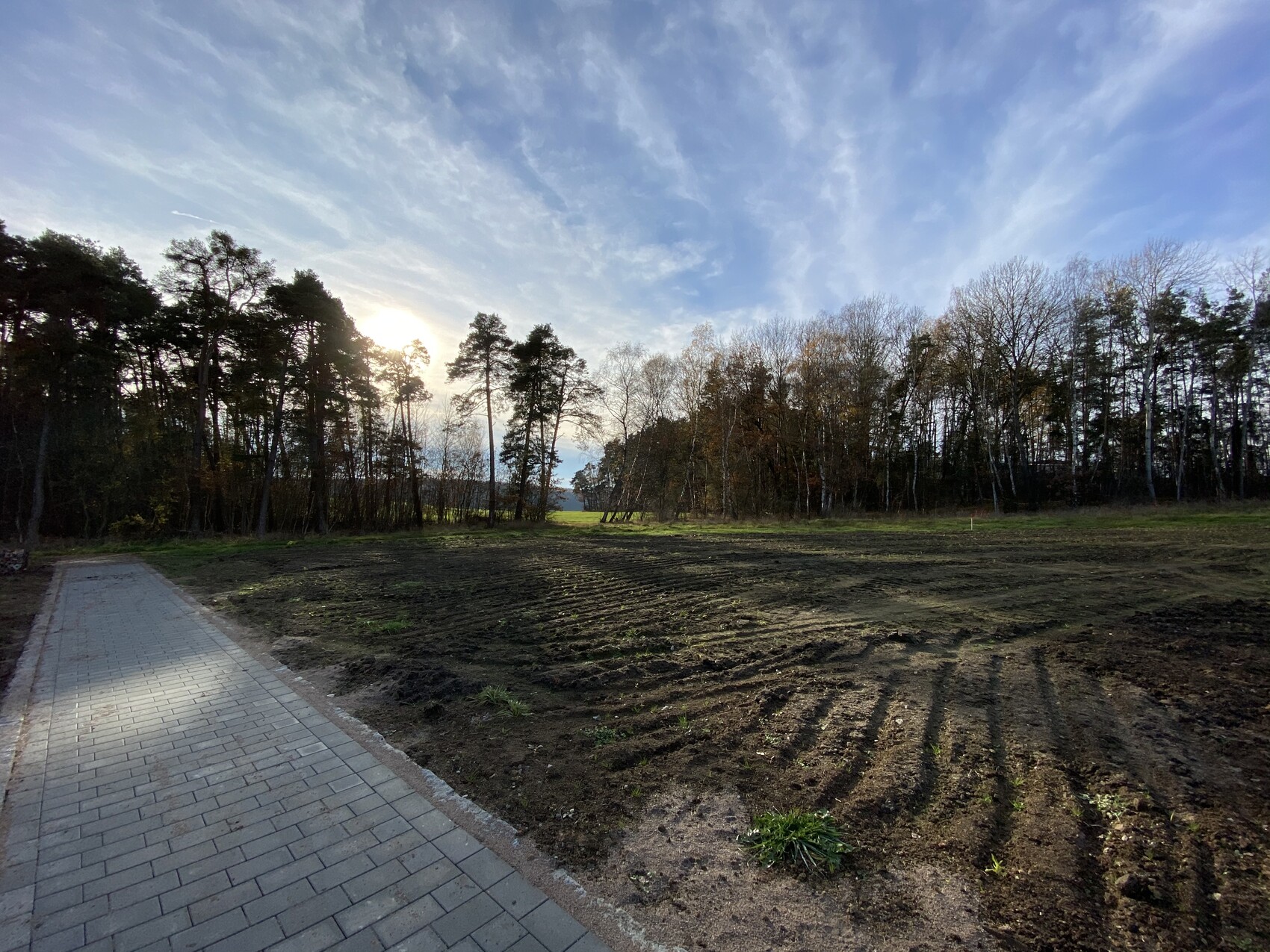 Baugrundstück mit gepflastertem Weg links, freier Boden, Wald im Hintergrund