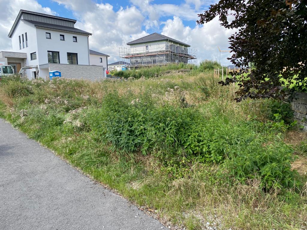 baugrundstueck-im-loch-nachbarn-liegen-hoeher-515036-3.jpg