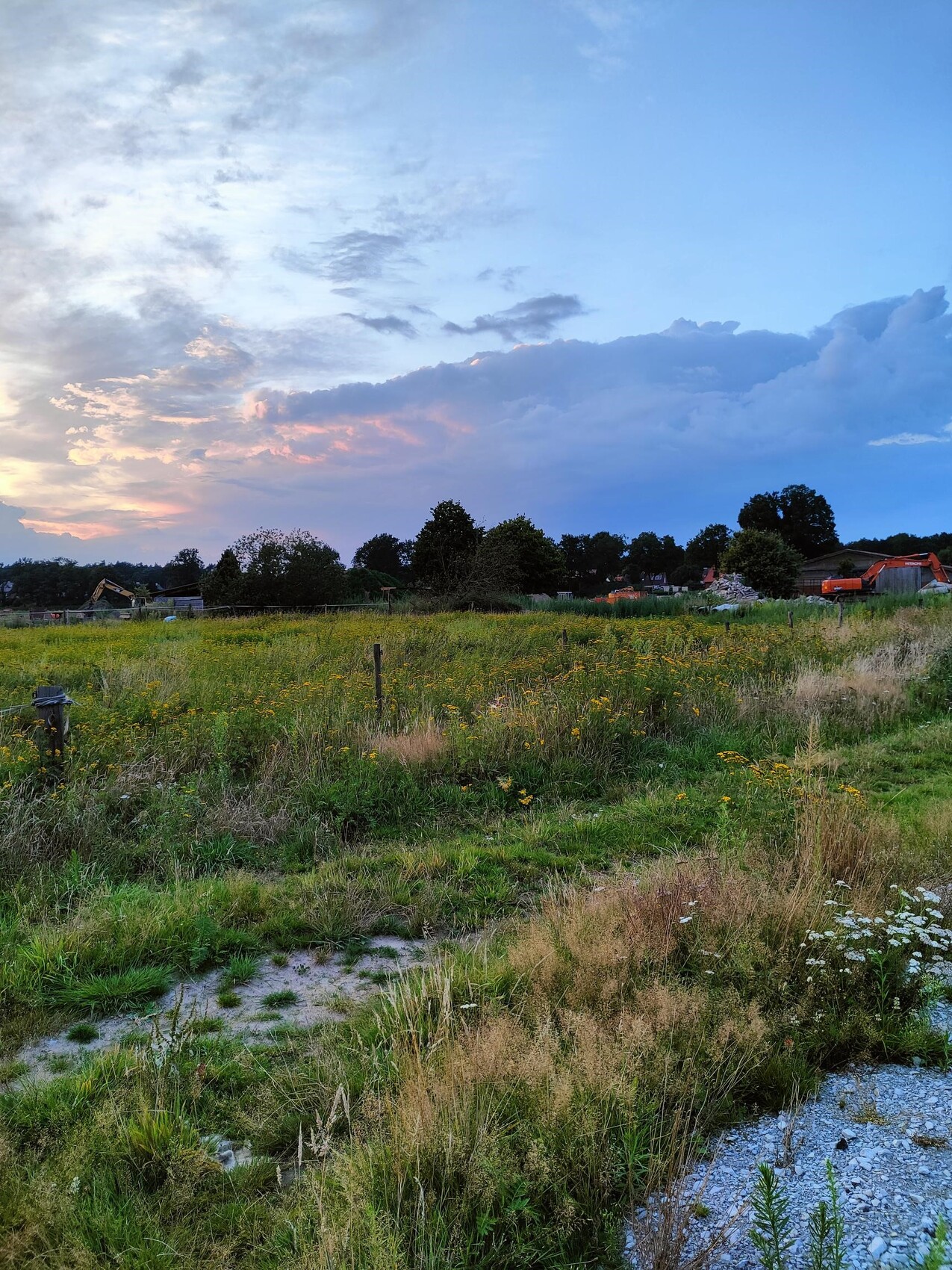 Offenes Feld mit gelben Blumen, Zaunpfosten, Baumaschinen im Hintergrund und Abendhimmel.