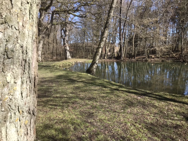 baukosten-gehen-aktuell-durch-die-decke-544250-1.jpeg