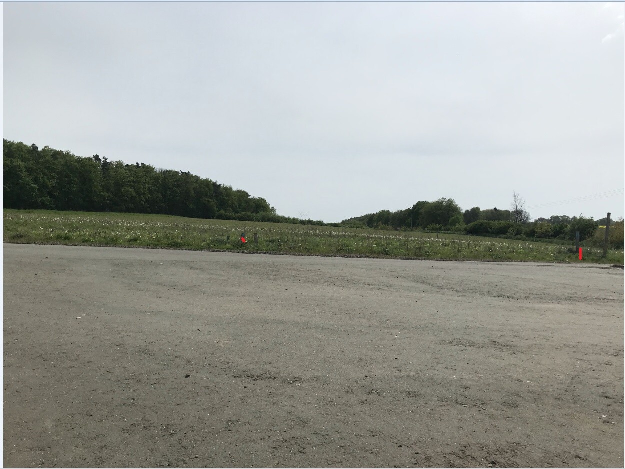 Weite Landschaft: Grasfläche neben einer Straße, Baumreihe links, rote Markierungspfosten.