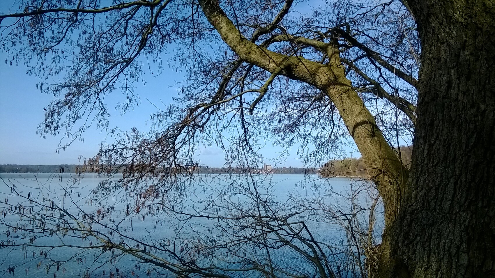 Winterlandschaft: blauer See, kahle Baumzweige über dem Wasser, rechts ein großer Baumstamm.