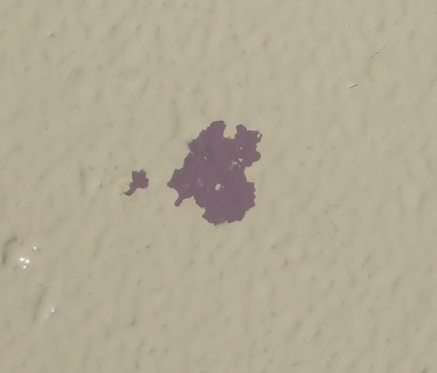 Nahaufnahme einer Wand mit abplatzender lila Farbe auf beiger Oberfläche, Baumängel sichtbar