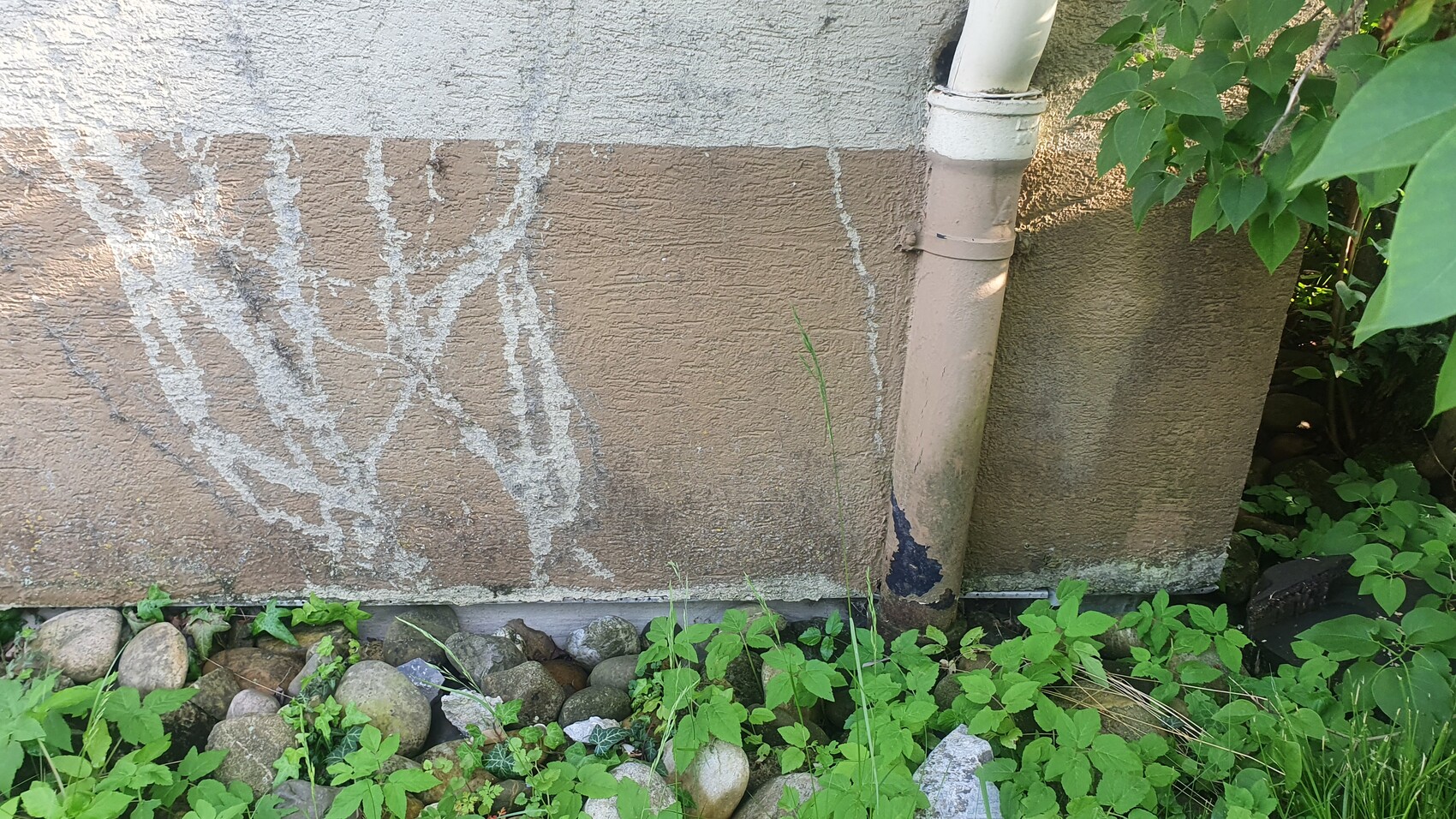 Außenwand mit rissigem Putz, Kalkflecken, Regenrohr daneben, grüne Pflanzen und Kies am Boden.