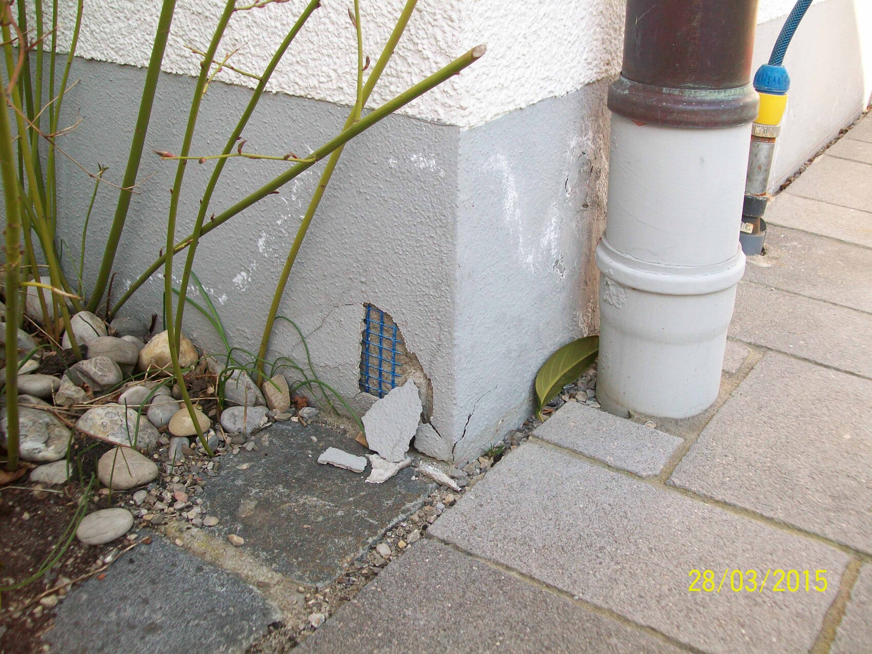 Außenwand-Ecke mit beschädigtem Putz und freigelegtem blauem Gitter; Pflasterweg und Pflanzen.