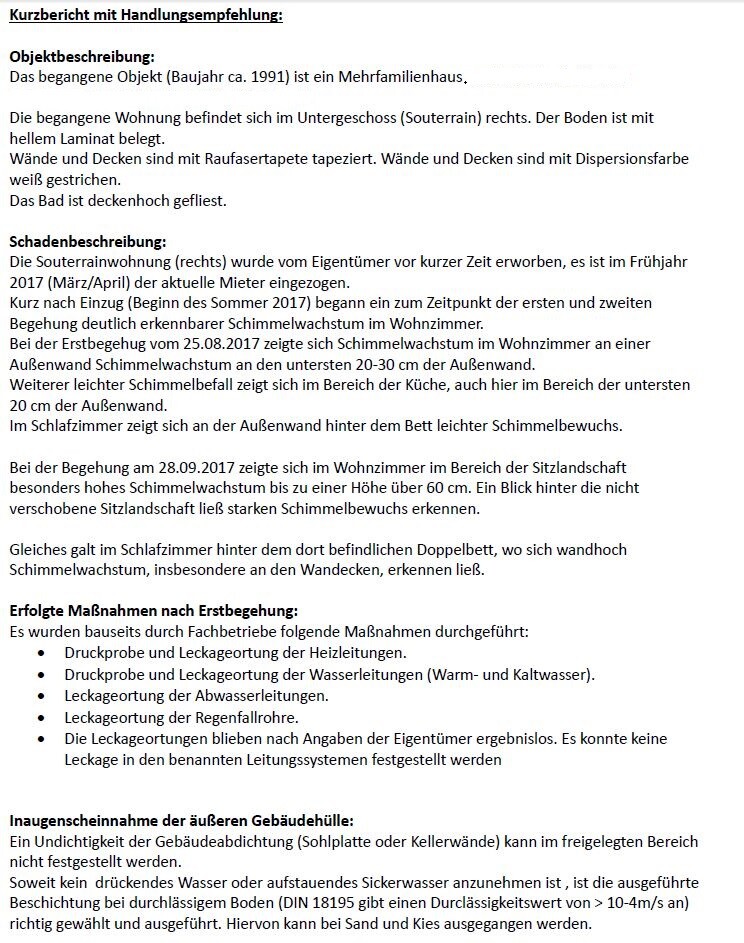 Bericht über Feuchtigkeit und Schimmel in einer Souterrain-Wohnung eines Mehrfamilienhauses.