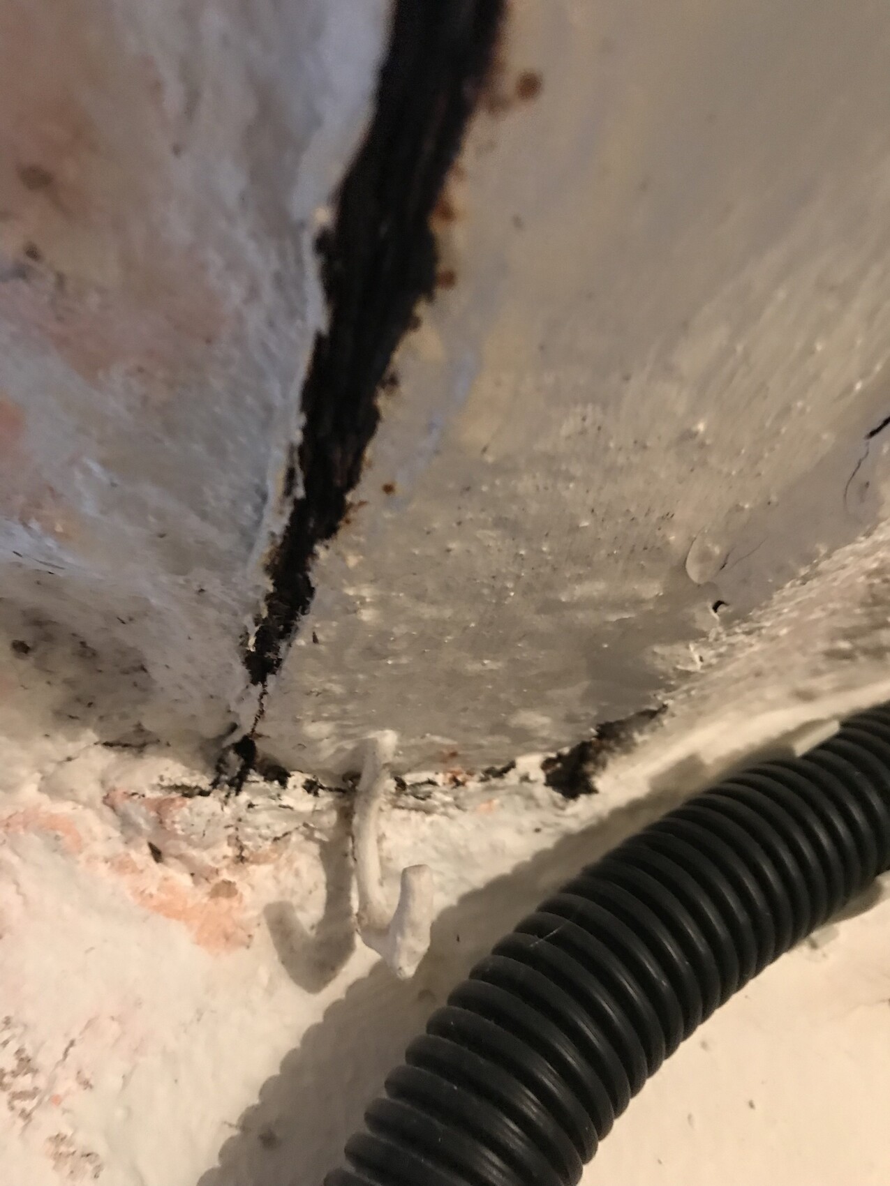 Kellerwand mit bröckelndem Putz, dunklem Riss und schwarze flexible Leitung.