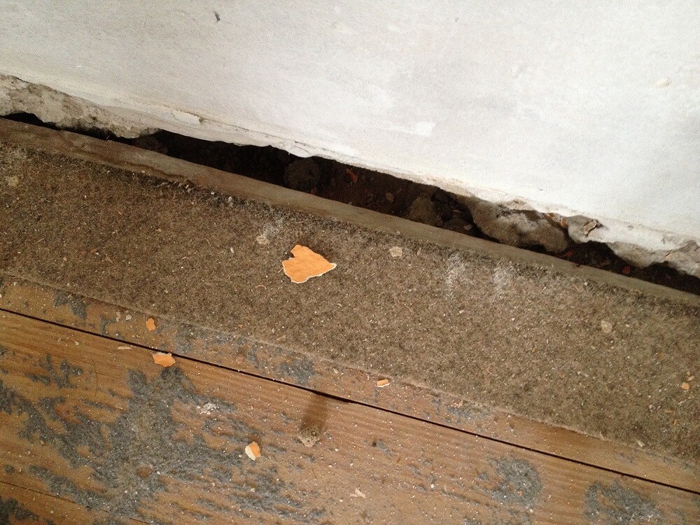 Nahaufnahme einer Bodenfuge mit Spalt zwischen Bodenplatte und Wand, Staub und Splitter