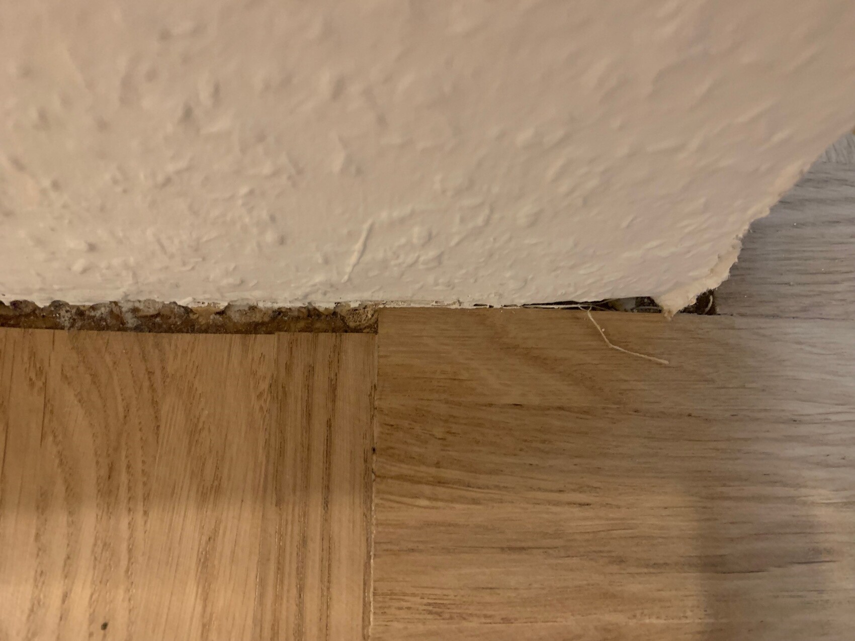 Nahaufnahme: Holzboden an rauer Verputzwand, kleiner Spalt und Faserreste sichtbar.