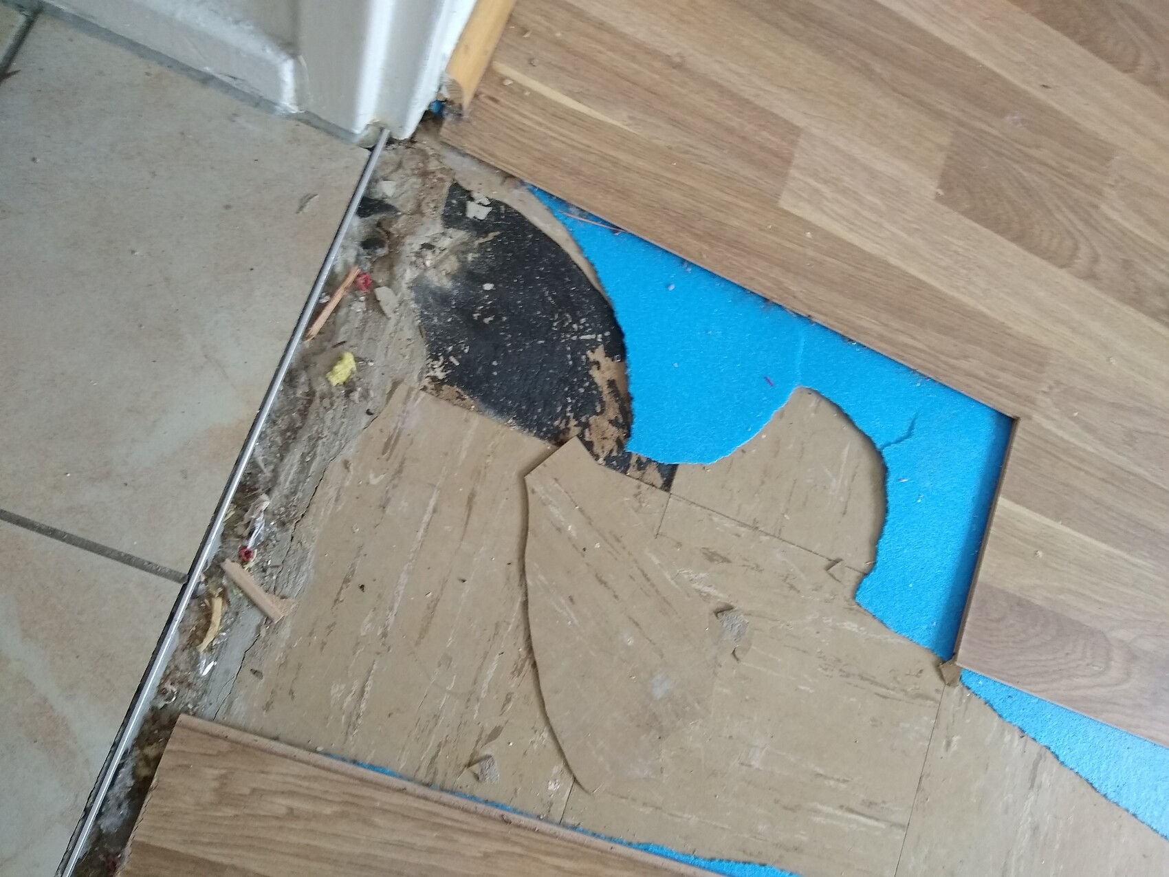 Baustelle im Innenraum: beschädigte Holzdielen, blaue Isolierplatten und losen Unterboden.