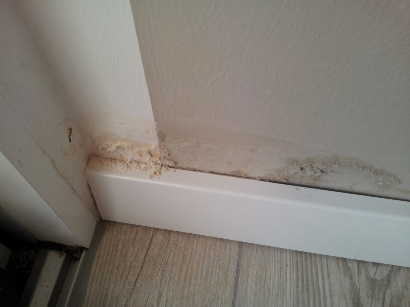 Feuchte Sockelleiste mit Schimmelbildung an der Boden-Wand-Verbindung (Baumängel)