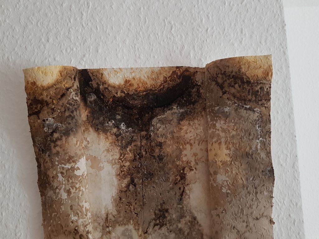 Verbranntes Papier mit dunklen Verfärbungen an weißer Wand, Baumängel-Anzeichen