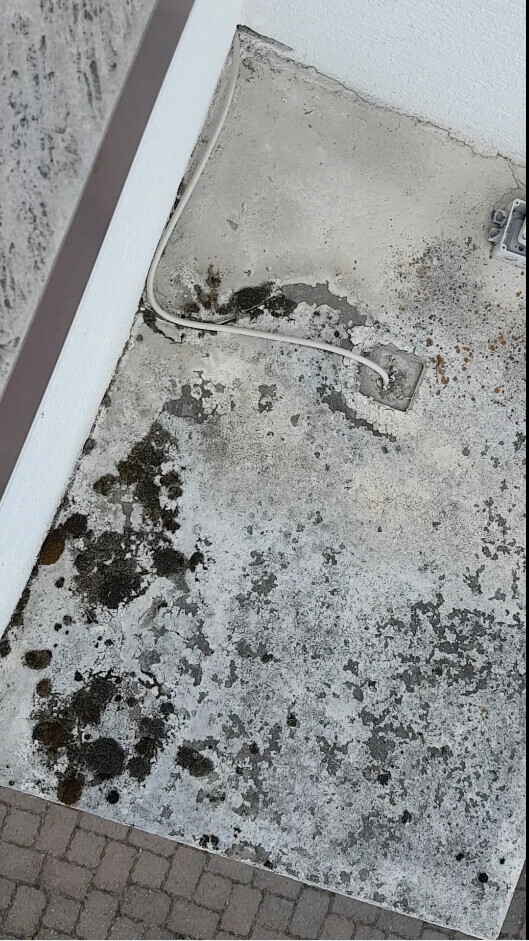 Draufsicht auf eine Beton-Dachfläche mit schwarzen Flecken, Moos und einer Kabelleitung am Rand.