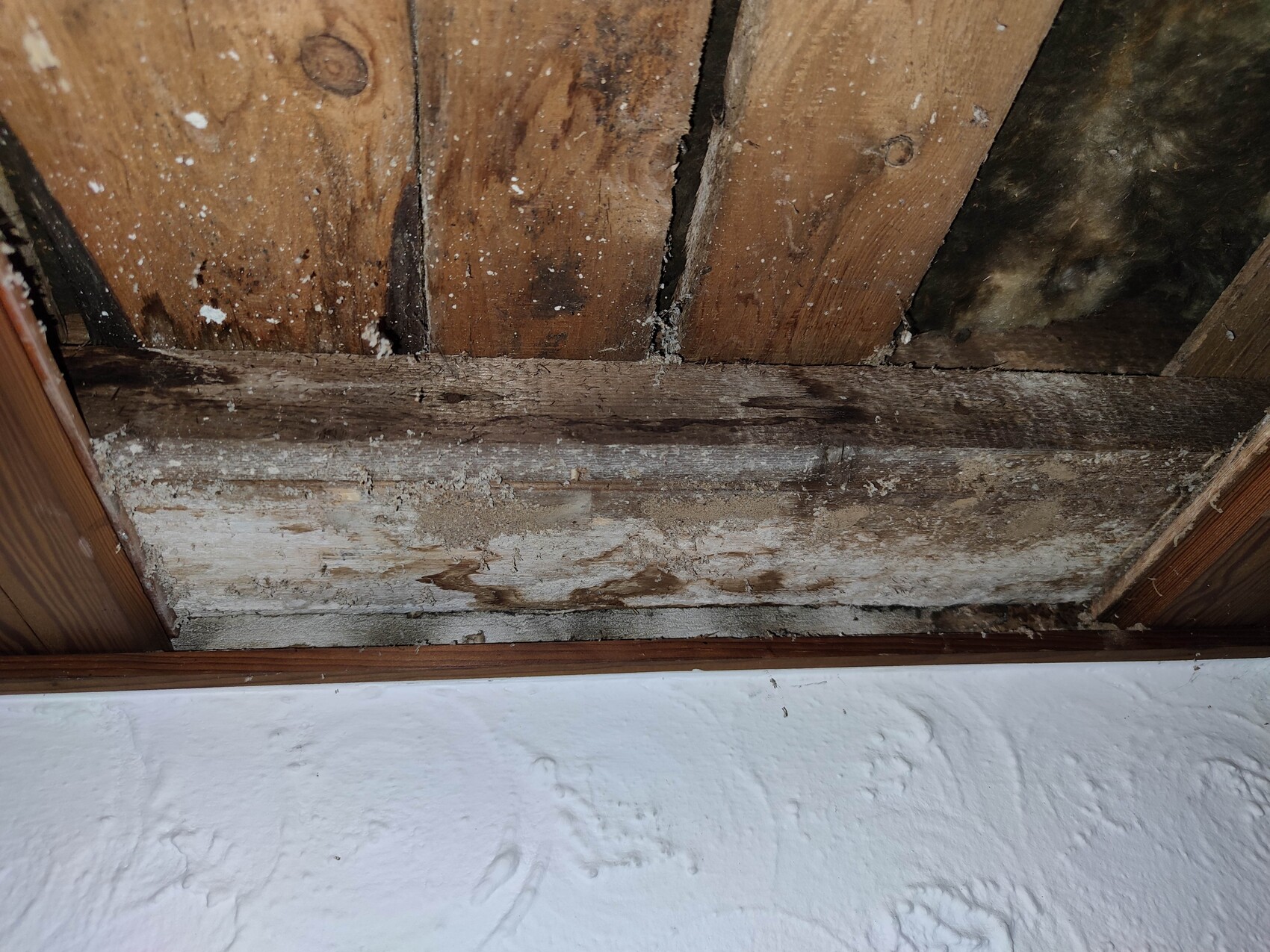 Exponierte Holzbalken mit Staub und Feuchtigkeit über einer weißen Kellerwand.