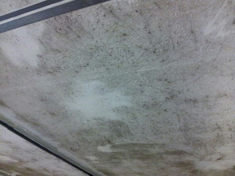 Decke mit Feuchtigkeit und Schimmelbildung, Baumängel sichtbar.