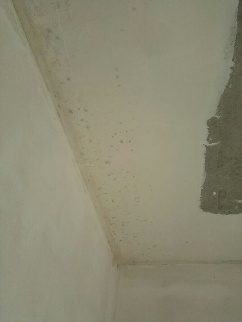Feuchteflecken an Decke und Wand in einer Ecke, möglicher Baumangel