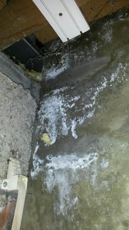 Feuchtigkeit und Salzausblühungen am Kellerrboden einer Baustelle