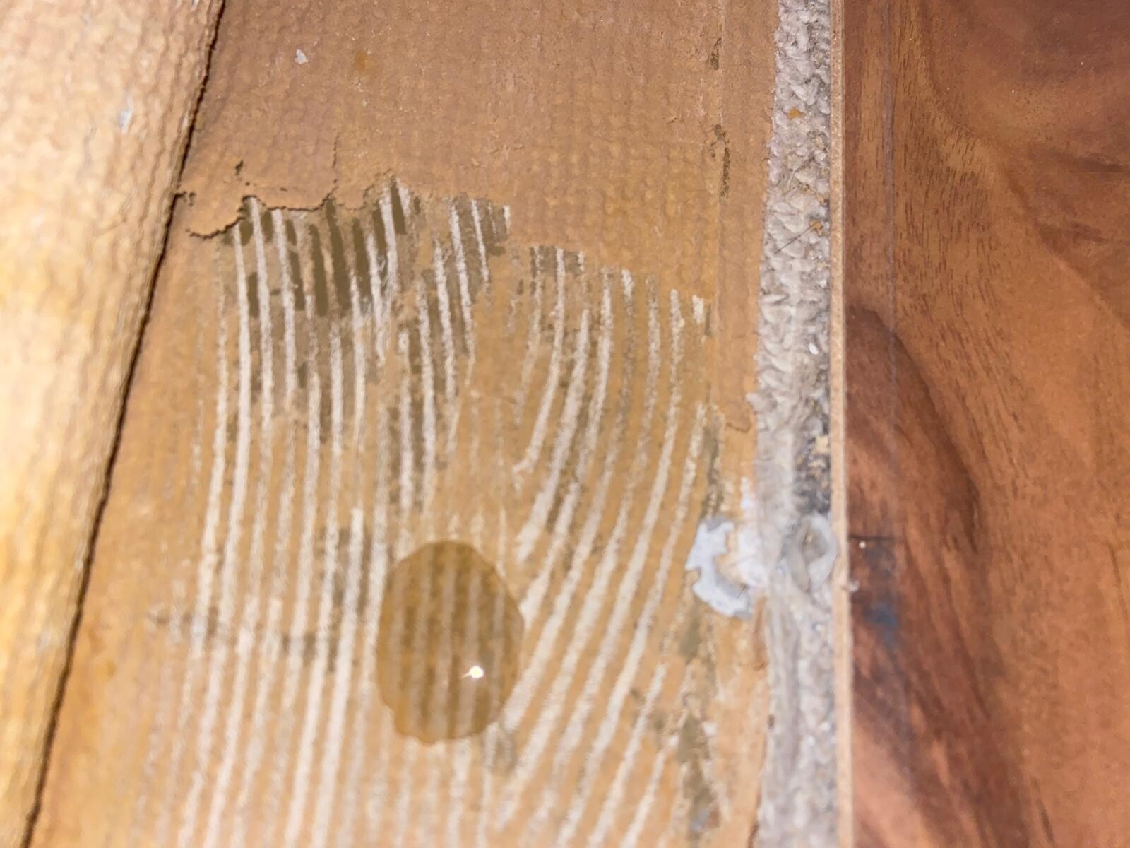 Nahaufnahme von Holzboden mit Feuchtigkeitsspuren und Wasserflecken
