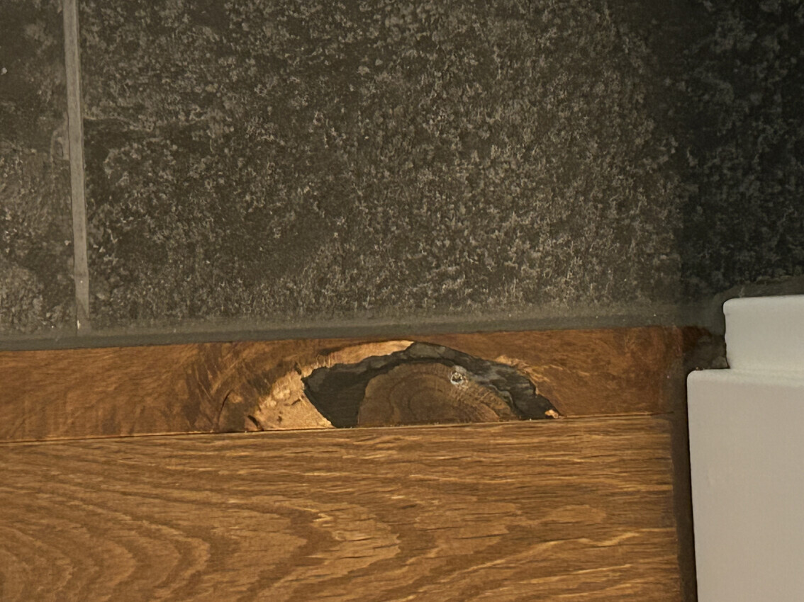 Holzfußboden mit beschädigter Diele und freiliegten Baumringen; darüber dunkle Wandfliesen.
