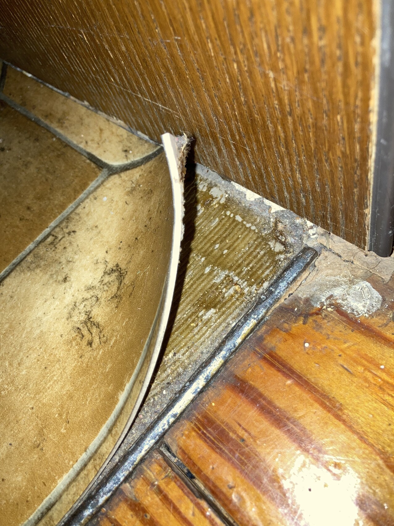 Gebrochene weiße Leiste an Türschwelle zwischen Fliesen links und Holzboden.