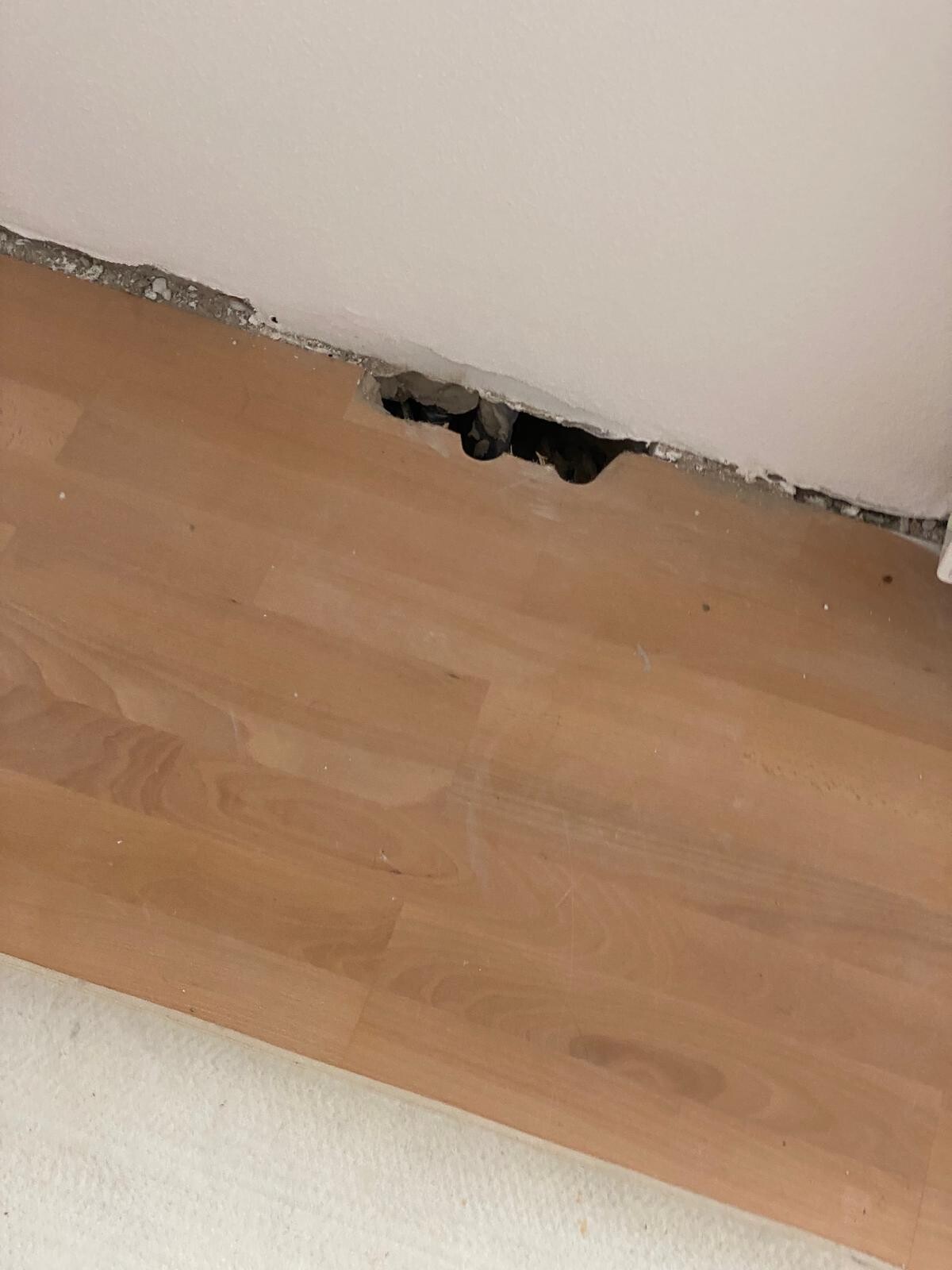 Loch am unteren Rand der Wand über dem Laminatboden; dahinter ein dunkler Hohlraum.