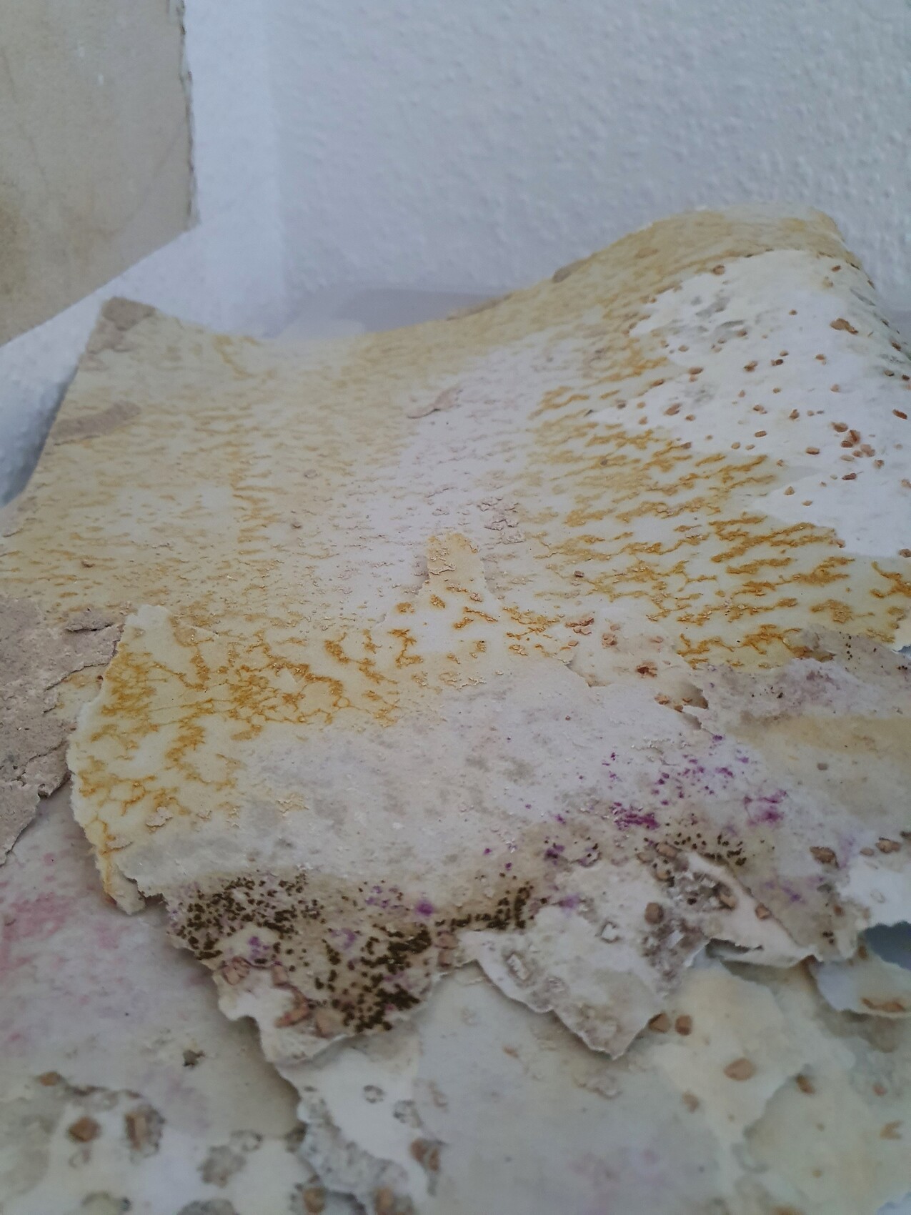 Nahaufnahme von beschädigtem Putz mit Abplatzungen und Gelbflecken an einer Wand.