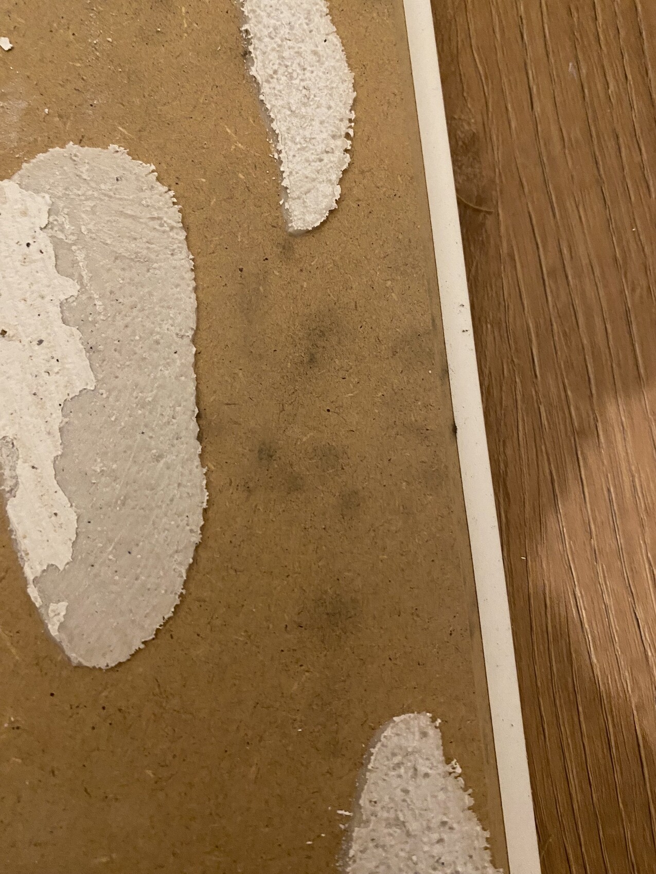 Nahaufnahme einer Kartonfläche mit abblätternder weißer Schicht neben Holzboden.