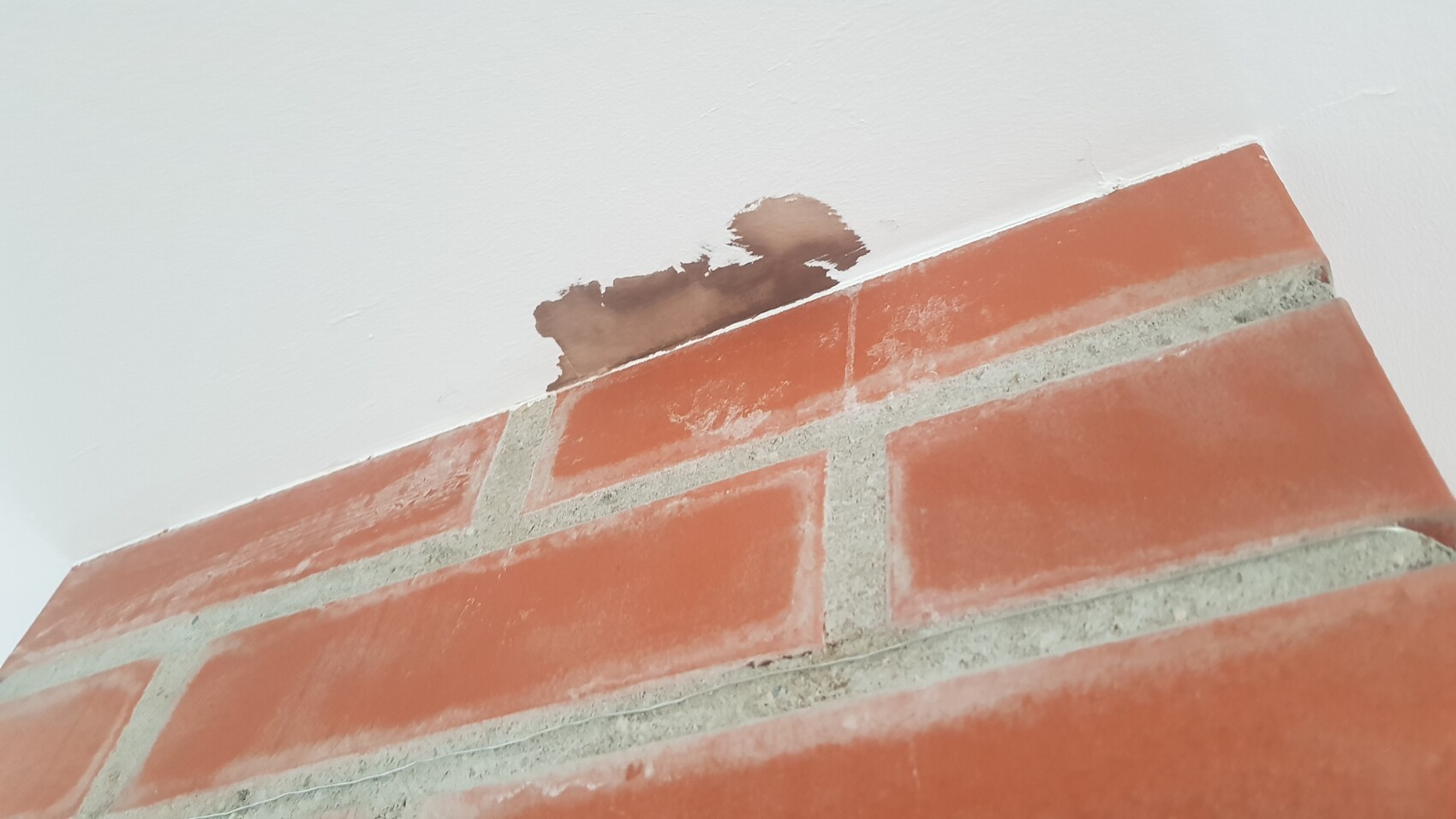 Beschädigte Putzfläche an einer Ziegelwand mit freigelegtem Mauerwerk
